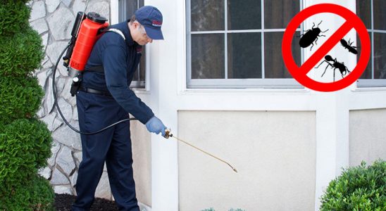 Senirkent Bit İlaçlama böcek ilaçlama ve haşere kontrolü — ilaclama-tr.com